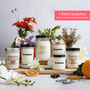 Serendipity Discovery Box