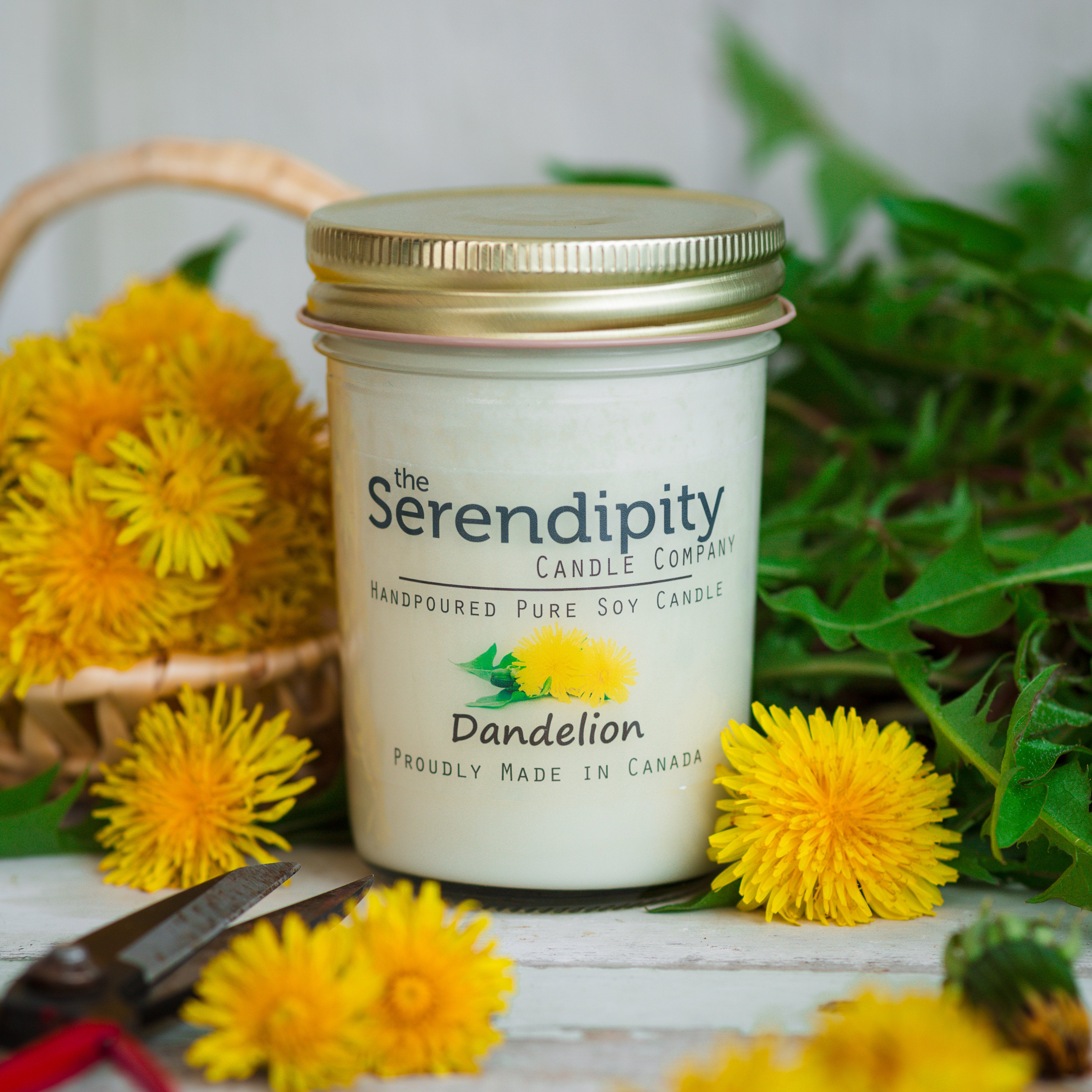 Dandelion Serendipity SOY Candle Factory dandelion-serendipity-soy-candle-factory